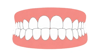Articulé croisé